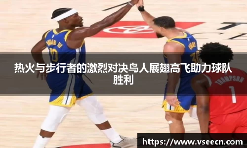 Vsports胜利因您更精彩