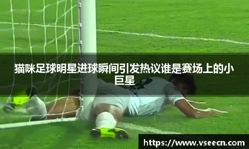 猫咪足球明星进球瞬间引发热议谁是赛场上的小巨星