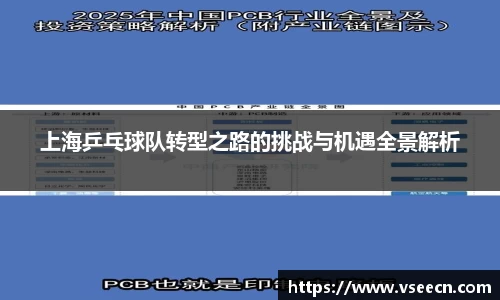 上海乒乓球队转型之路的挑战与机遇全景解析